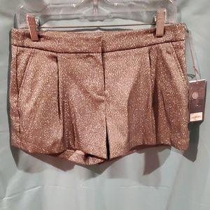 Silver Dress shorts